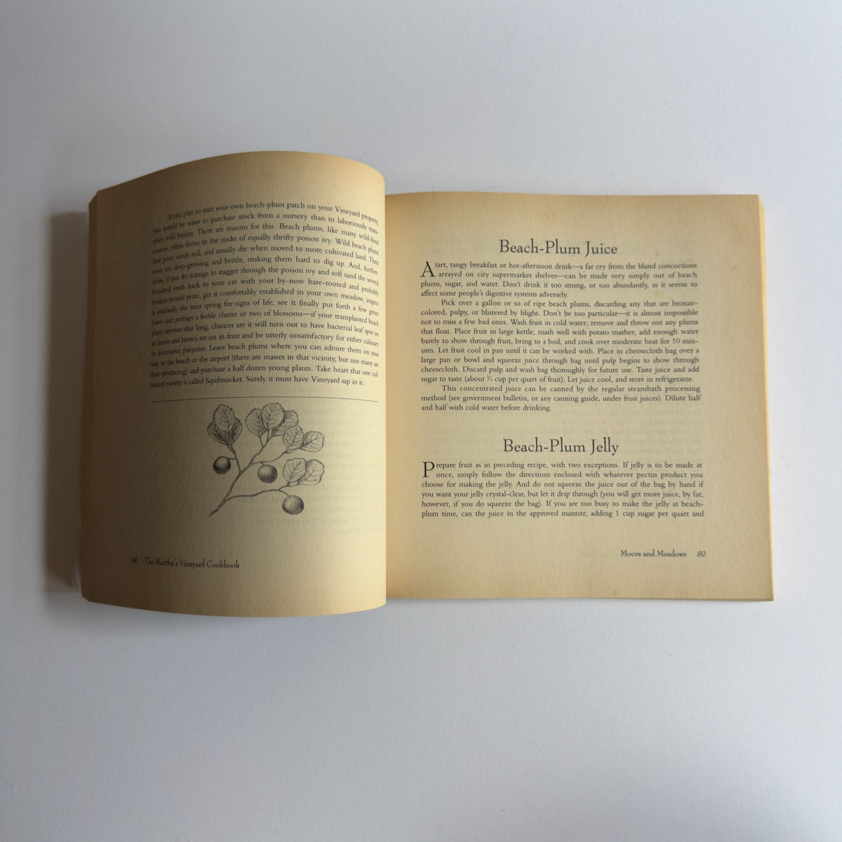 The Martha's Vineyard Cookbook [Second Edition, Fifth Printing 1993]